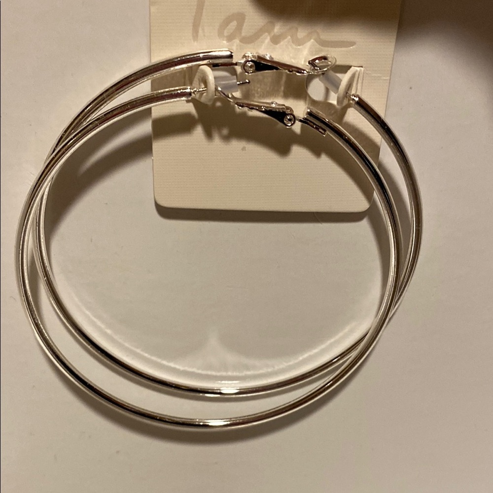 Sleek Hoop Earrings with Hinged Closure